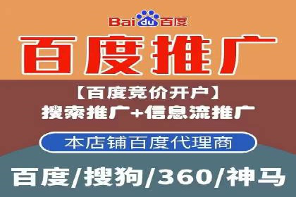 深度解析：百度竞价广告的投放效果与ROI